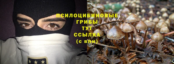 крисы Беломорск