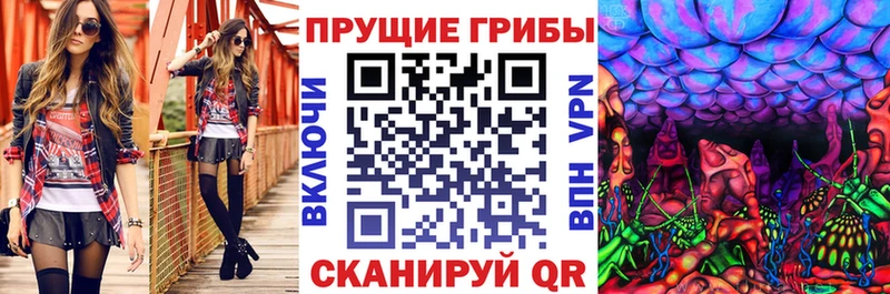 дарнет шоп  Цивильск  Псилоцибиновые грибы прущие грибы 