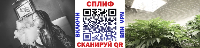 дарнет шоп  Цивильск  Шишки марихуана MAZAR 